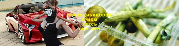 кокс Арсеньев