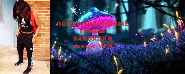 кокс Арсеньев