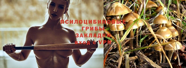 кокс Арсеньев