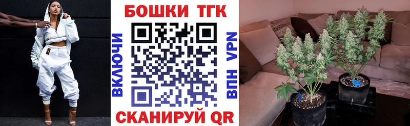 МАРИХУАНА план  что такое наркотик  Болотное 
